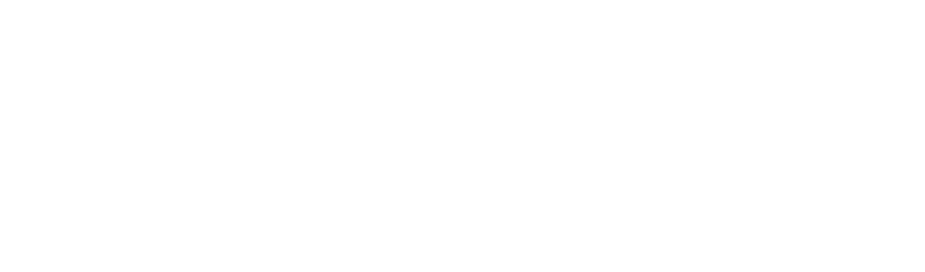 FlytWise